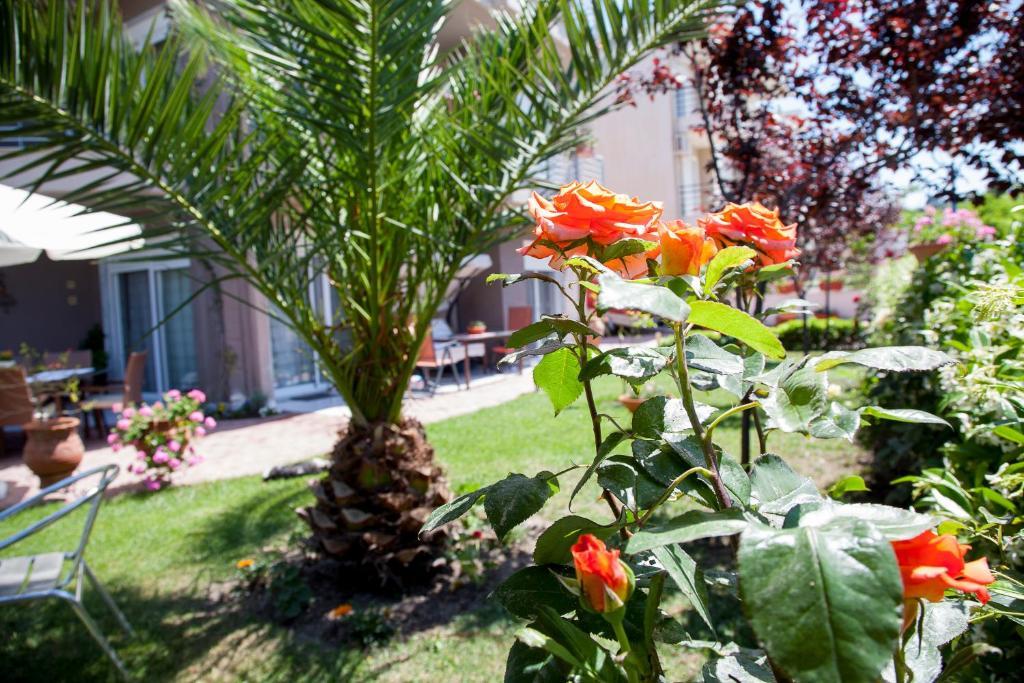 Apartments Eleni 4 Seasons Ханіоті Екстер'єр фото